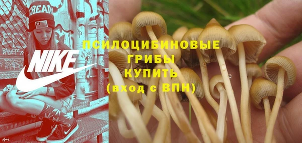 круглые Алапаевск