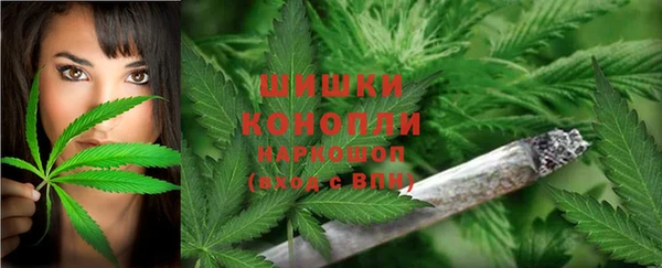 ECSTASY Володарск