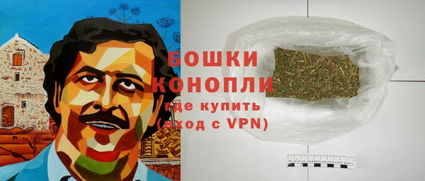 молекула духа Волоколамск