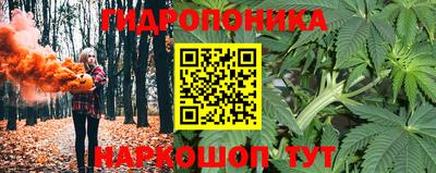 ГАЛЛЮЦИНОГЕННЫЕ ГРИБЫ Дубна