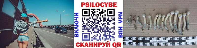 Псилоцибиновые грибы MAGIC MUSHROOMS  наркота  Заволжье 