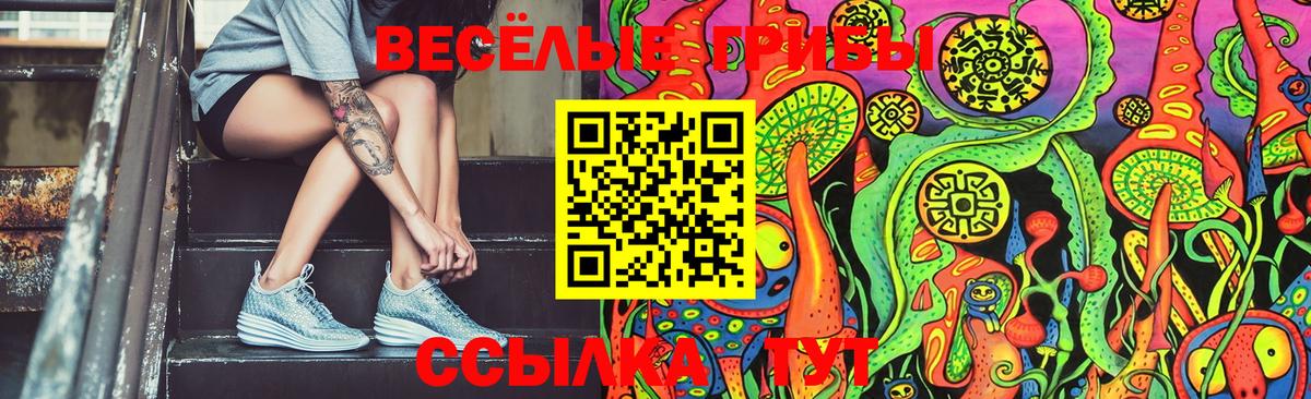 Псилоцибиновые грибы Psilocybine cubensis Заволжье