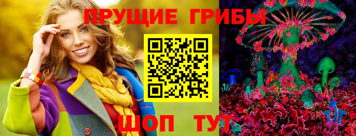 Заволжье  купить наркоту  Галлюциногенные грибы Cubensis  Вход с VPN  Галлюциногенные грибы прущие грибы 