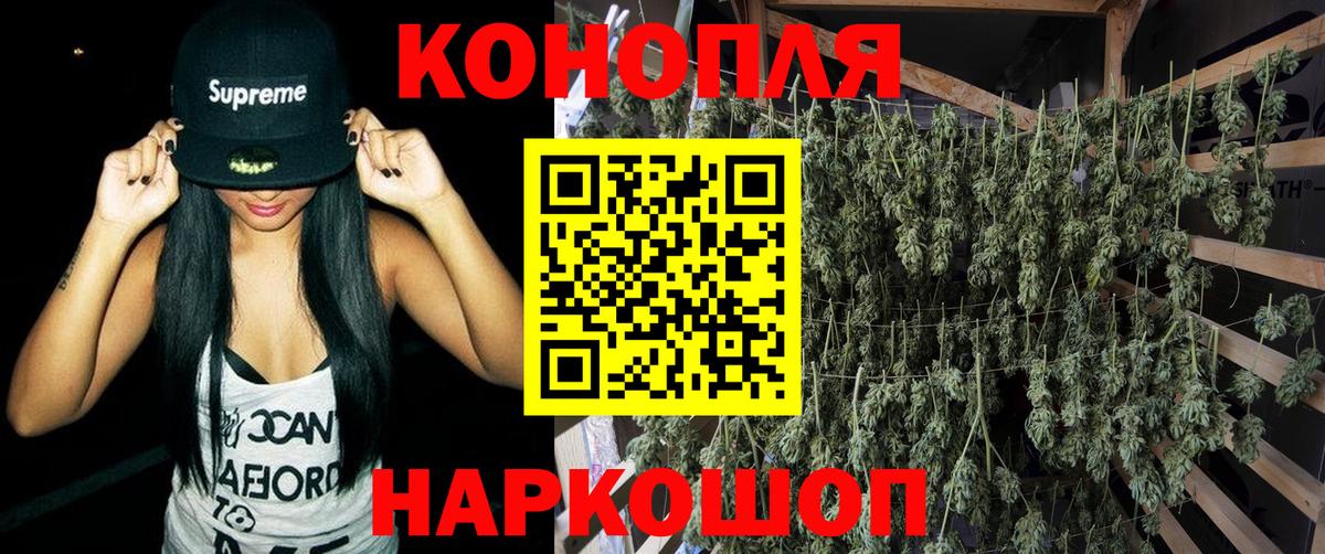 Шишки марихуана OG Kush Заволжье